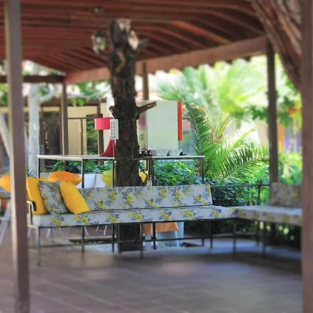 Hotell Pigale Kusadası