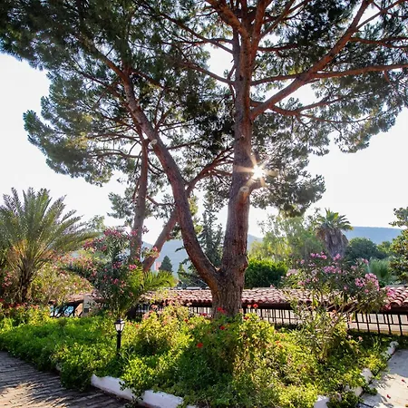 Hotel Pigale Kusadası