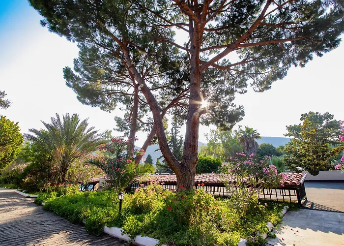 Hotel Pigale Kusadası